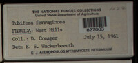 Image Associated With the Occurence